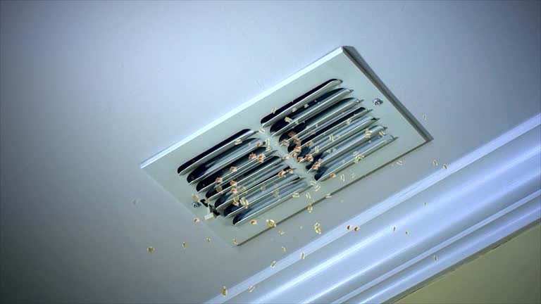 Best Ventilation Cleaning Services  in Laurium, MI